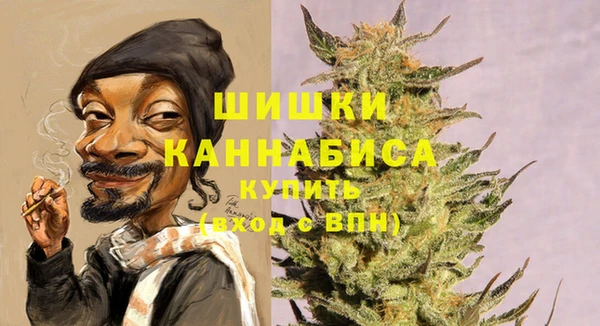 хмурый Аркадак