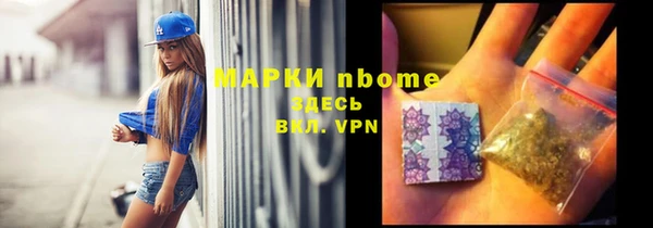 хмурый Аркадак
