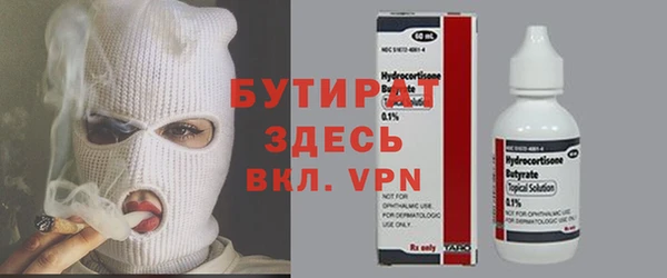 хмурый Аркадак