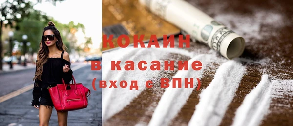 хмурый Аркадак