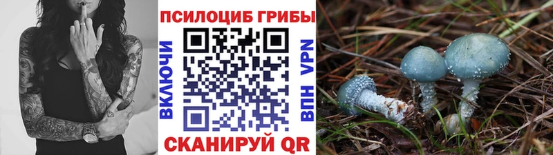 Галлюциногенные грибы ЛСД  нарко площадка клад  Курганинск 